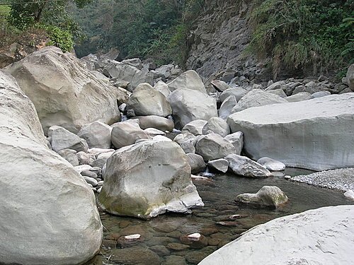 嘉義奮起湖+達那伊谷之旅