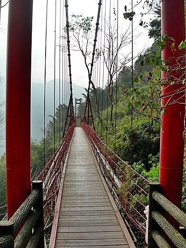 東埔彩虹瀑布賞櫻之旅