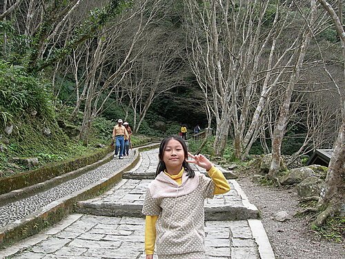 台北三峽老街+滿月圓森林遊樂區