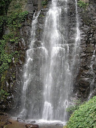 台北三峽老街+滿月圓森林遊樂區