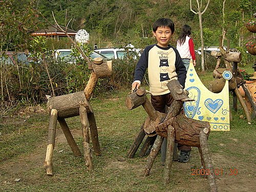 台中新社安妮公主花園+大甲鎮瀾宮