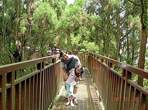 南投凍頂山+溪頭遊樂區2天1夜之旅