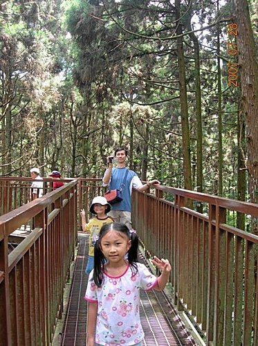 南投凍頂山+溪頭遊樂區2天1夜之旅