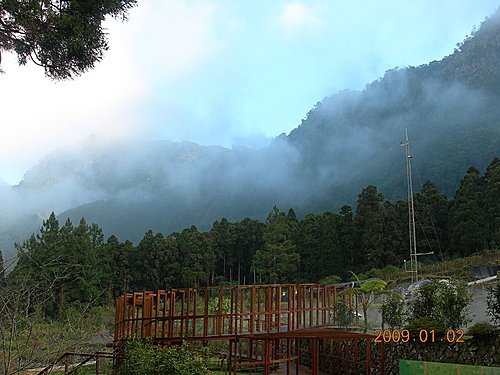 溪頭遊樂區森林浴