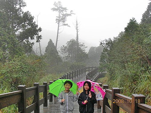 宜蘭太平山+溫泉之旅