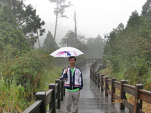 宜蘭太平山+溫泉之旅