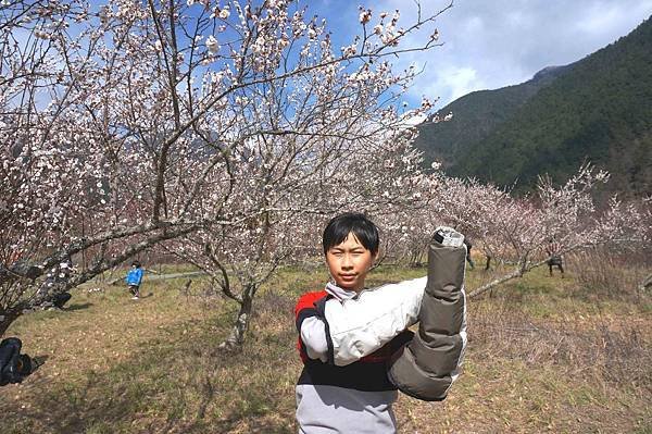 【台中和平區】武陵農場賞櫻加意外的雪人堆堆樂(第4次露營)泡