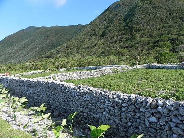 【跳島之旅】來飛魚的故鄉-蘭嶼趴趴走(下)