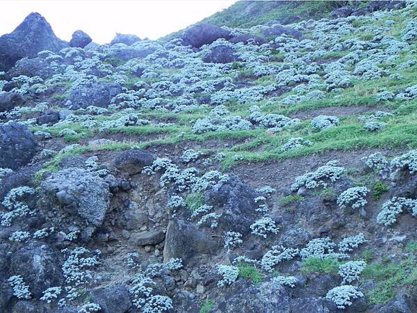 【跳島之旅】來飛魚的故鄉-蘭嶼趴趴走(下)