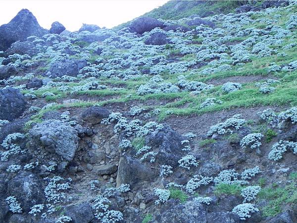 【跳島之旅】來飛魚的故鄉-蘭嶼趴趴走(下)