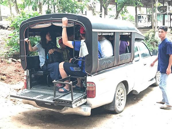 【泰國清邁】大象表演，牛車體驗，稀奇長頸族