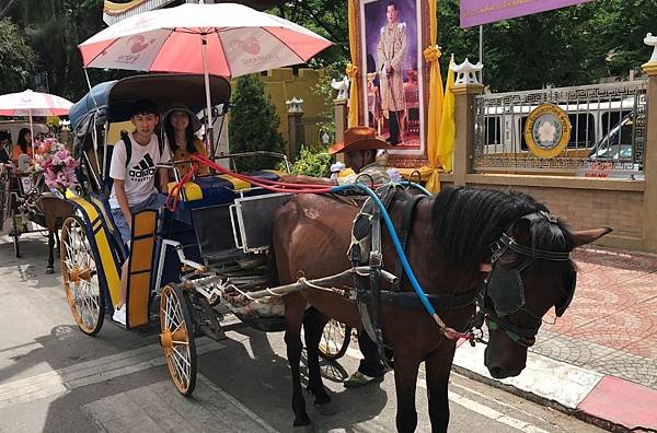 【泰國清萊】帕耀湖，南邦古城馬車行，百年貴族高腳屋，大開眼界