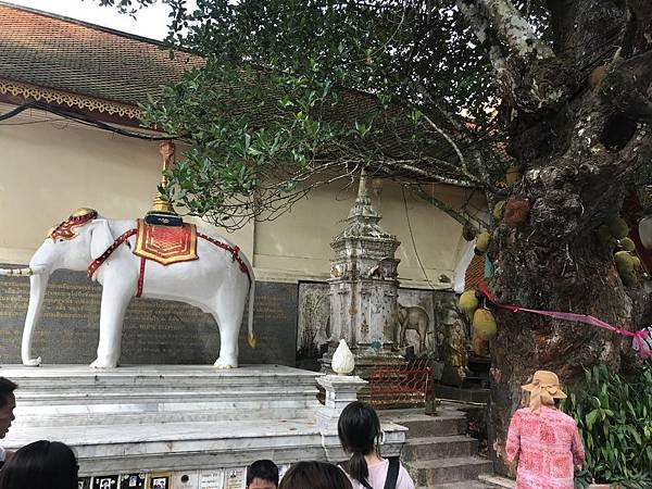 【泰國清邁】泰國人一生一定要參訪的佛教聖地 - 雙龍寺(素帖