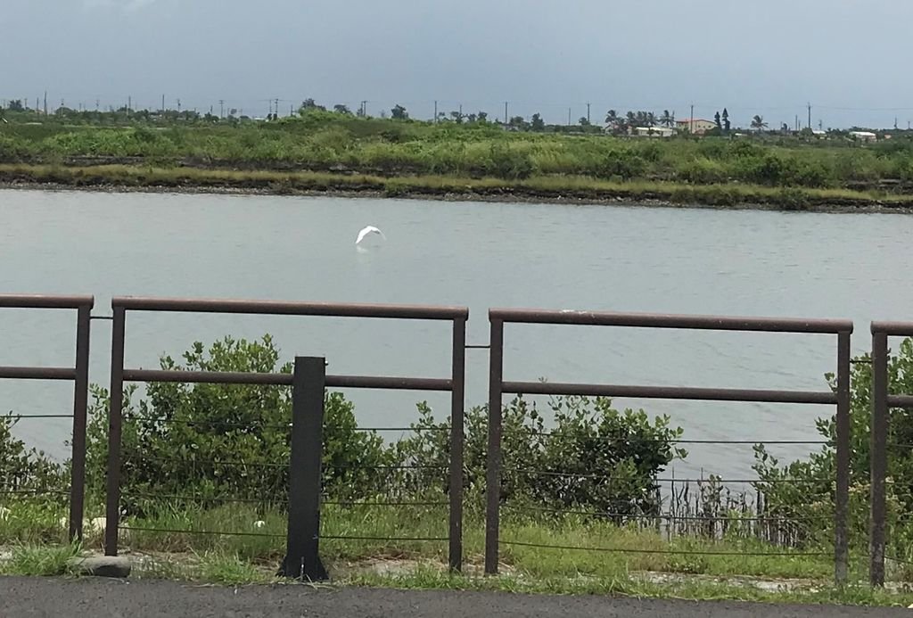 【台南北門】夢幻的玻璃教堂，IG打卡夯景點