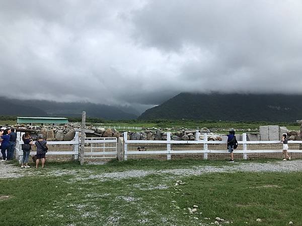 【花蓮秀林鄉】崇德瑩農場，免費入園的最新景點，露營車露營區