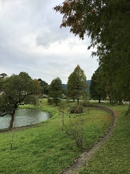 【宜蘭景點】金黃色浪漫5個宜蘭落羽松秘境之蜊埤湖落羽松(秋冬