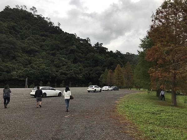 【宜蘭景點】金黃色浪漫5個宜蘭落羽松秘境之蜊埤湖落羽松(秋冬