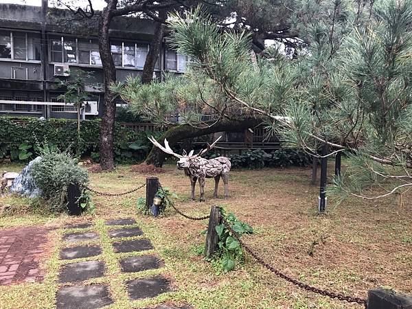 【花蓮市】老松環抱的卧松園區(免門票)