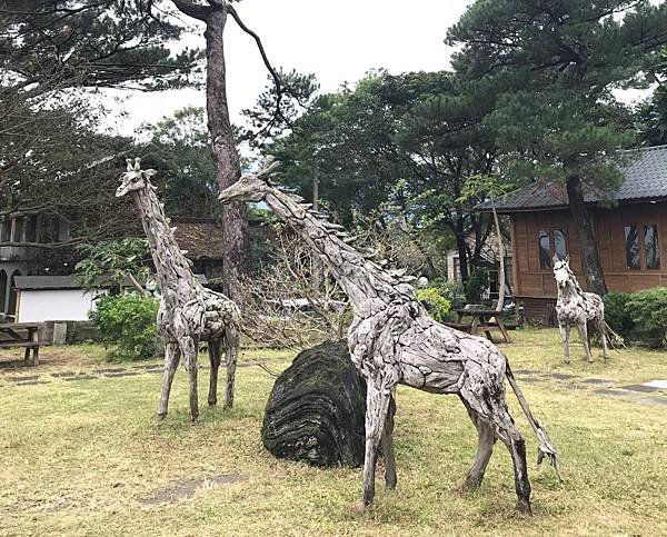 【花蓮市】老松環抱的卧松園區(免門票)