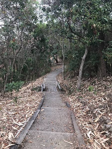 【南投市】虎山藝術館及文學步道，遠離塵囂的藝術館及原始森林步