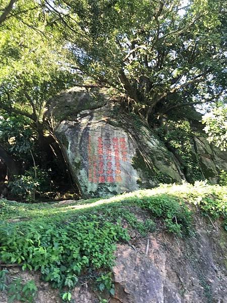 050太武山與彩色屋