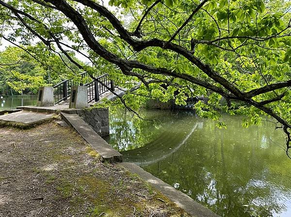 0523-10大沼國家公園及午餐