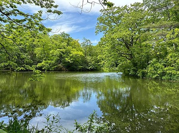 0523-10大沼國家公園及午餐