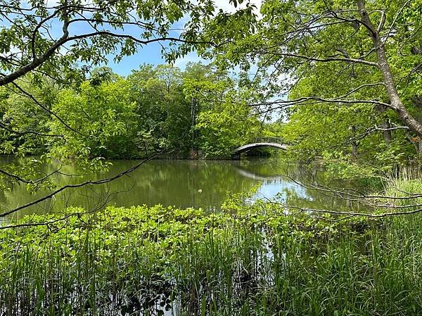 0523-10大沼國家公園及午餐