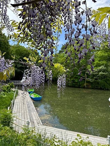 0523-10大沼國家公園及午餐