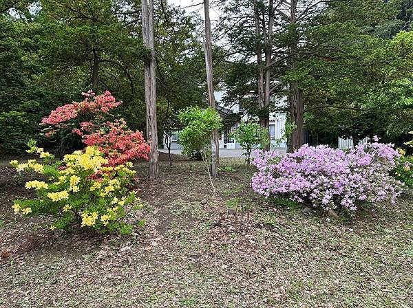 0525-01北海道神社