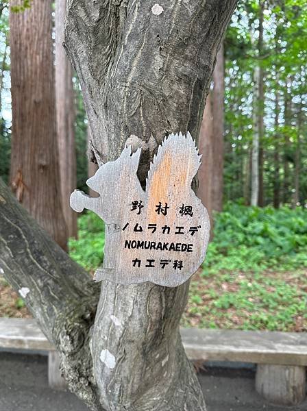 0525-01北海道神社