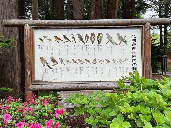 0525-01北海道神社