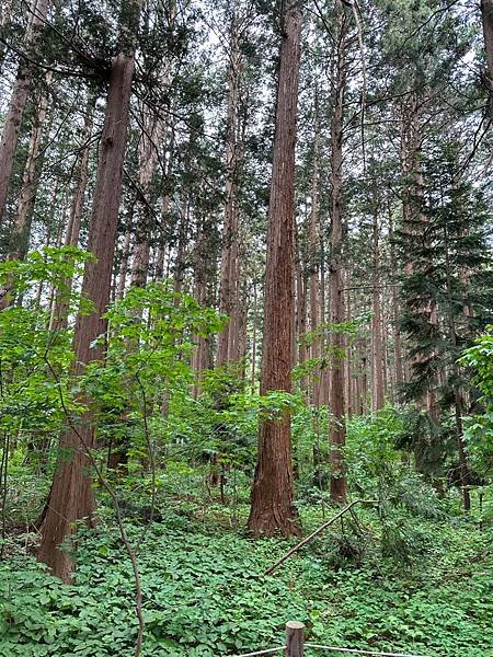 0525-01北海道神社