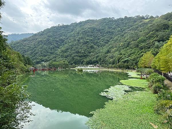 20231001-04 望龍埤老媽媽豆腐乳烤香雞全餐