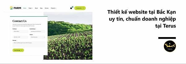 Thiết Kế Website Tại Bắc Kạn C