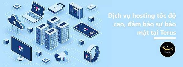 Dịch Vụ Hosting Tốc Độ Cao, Đả