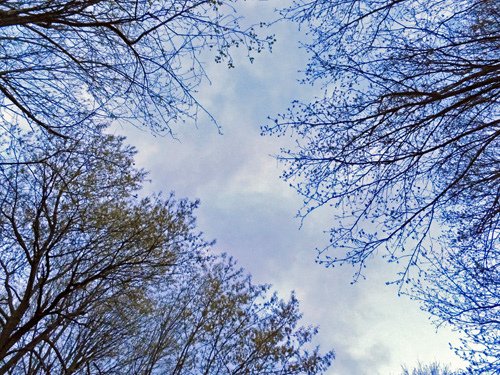 Look up at the sky 04-17-2016.jpg