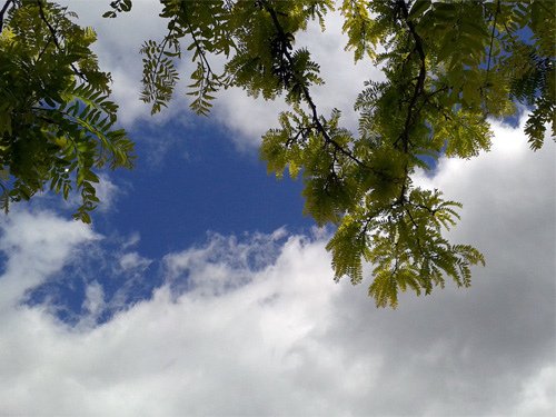 Look up the sky 04-27-2016.jpg
