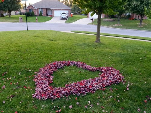 Autumn foliage II 10-28-2016.jpg