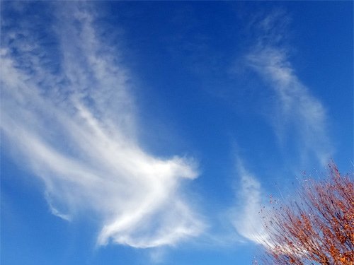 Angel wings clouds 11-20-2016.jpg