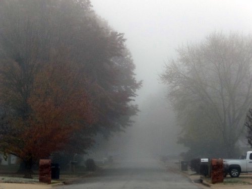 Morning mist 11-26-2016.jpg