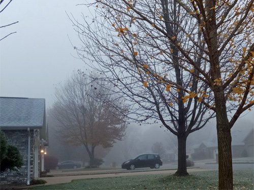 A foggy morning 11-26-2016.jpg