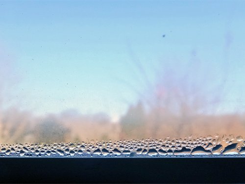 Window dew 12-18-2016.jpg