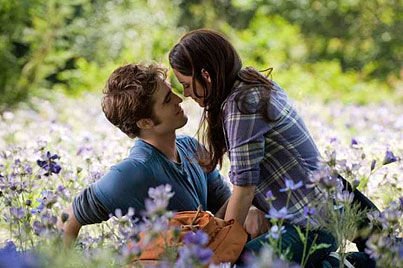 Eclipse-Meadow-eclipse-movie-10779630-403-268.jpg