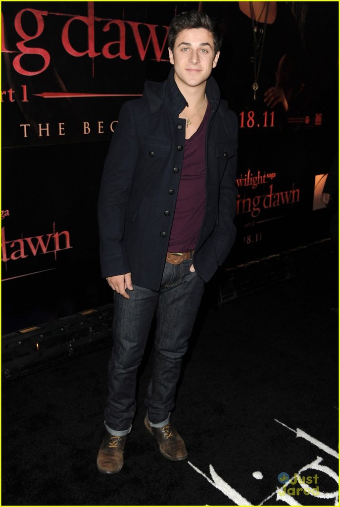 david-henrie-bd-premiere-01.jpg