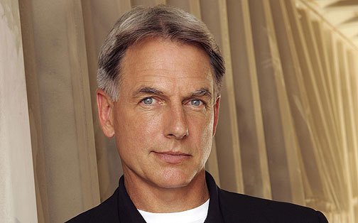 Leroy-Jethro-Gibbs-tv-male-characters-21535490-504-314