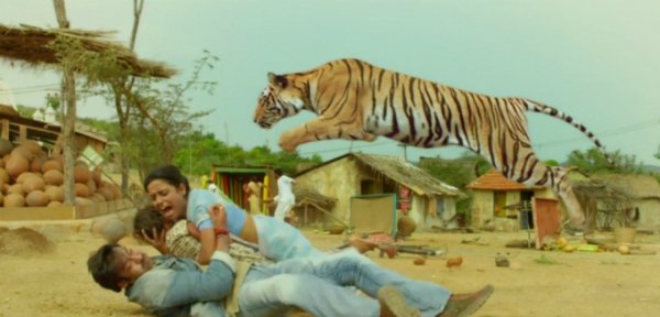 himmatwala_2013_24_6698_4180