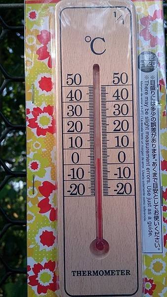 01022015伊萬營地 4.jpg