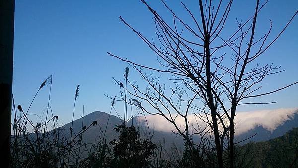 01022015伊萬營地 6.jpg