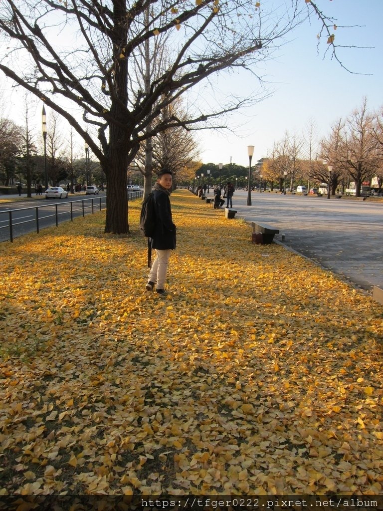 37.jpg